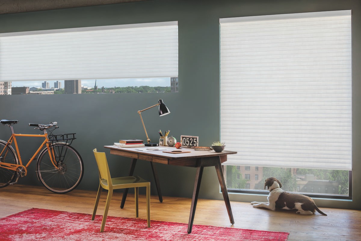 Contemporary Roller Shades for the Modern home, including the Sonnette™ collection, near Fletcher, North Carolina (NC)