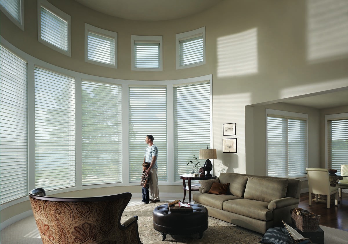 Silhouette® Window Shadings Fletcher, North Carolina (NC) the best shades for large windows from Hunter Douglas.
