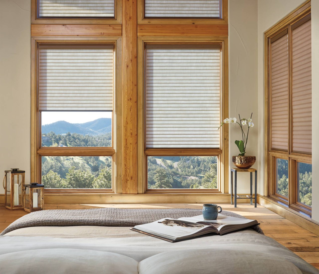 Hunter Douglas Sonnette® Roller Shades near Fletcher, North Carolina (NC)